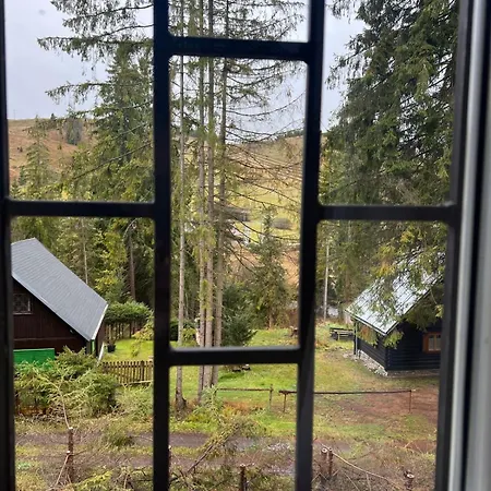 Zvoncek Liptovska Teplicka *